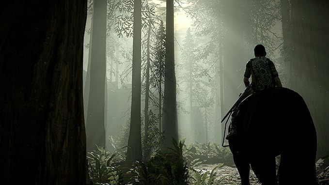 Shadow Of The Colossus - Image 2