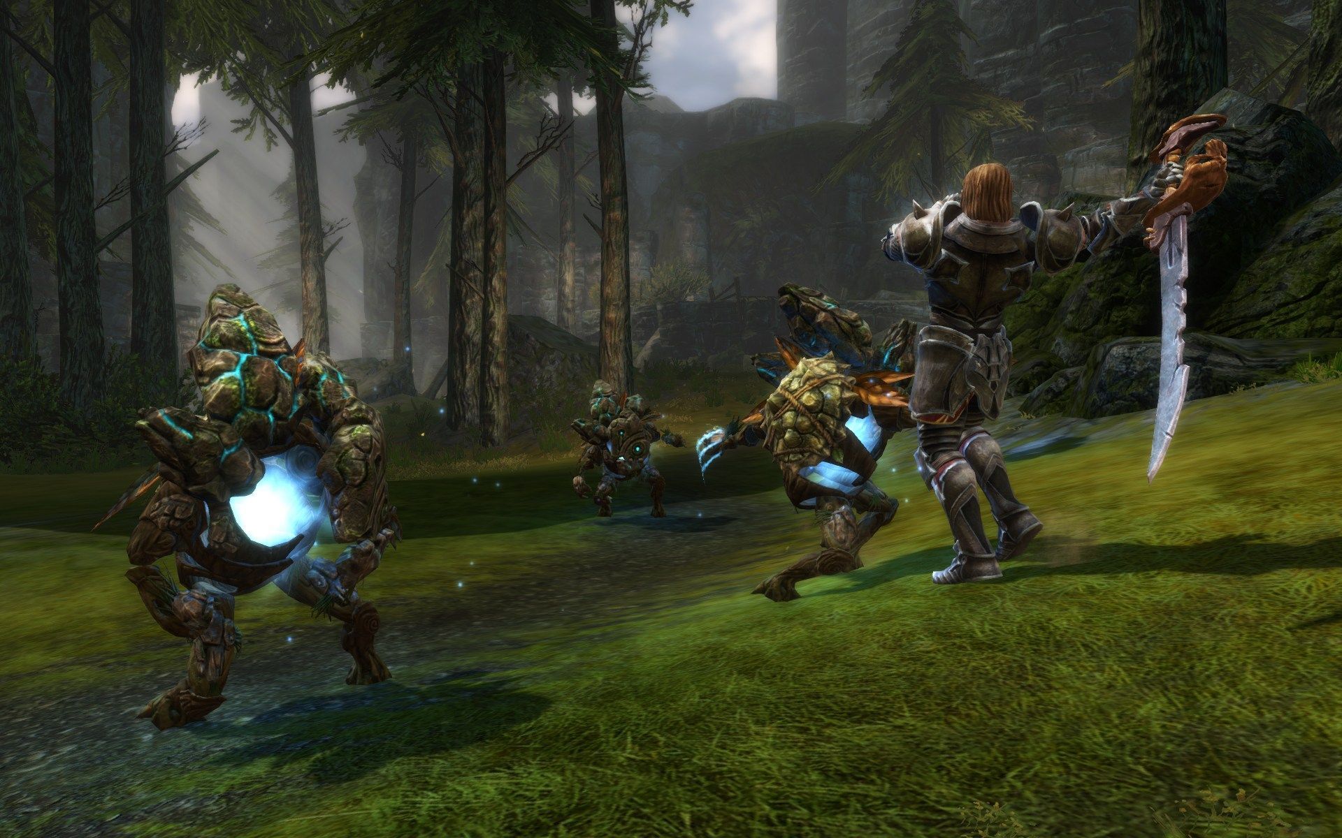 Kingdoms of Amalur Re-Reckoning - Image 2