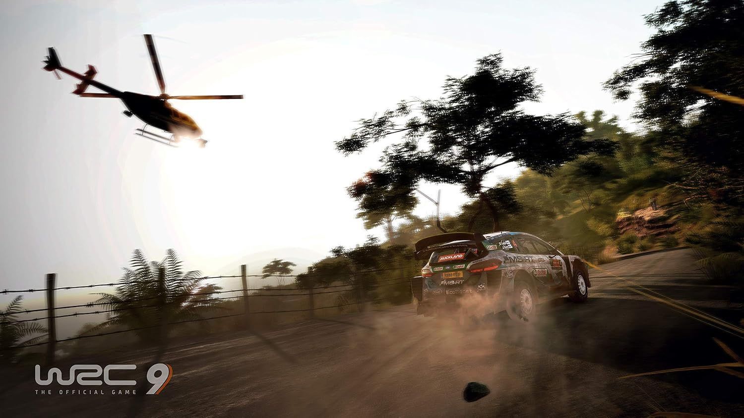 WRC 9 - Image 4