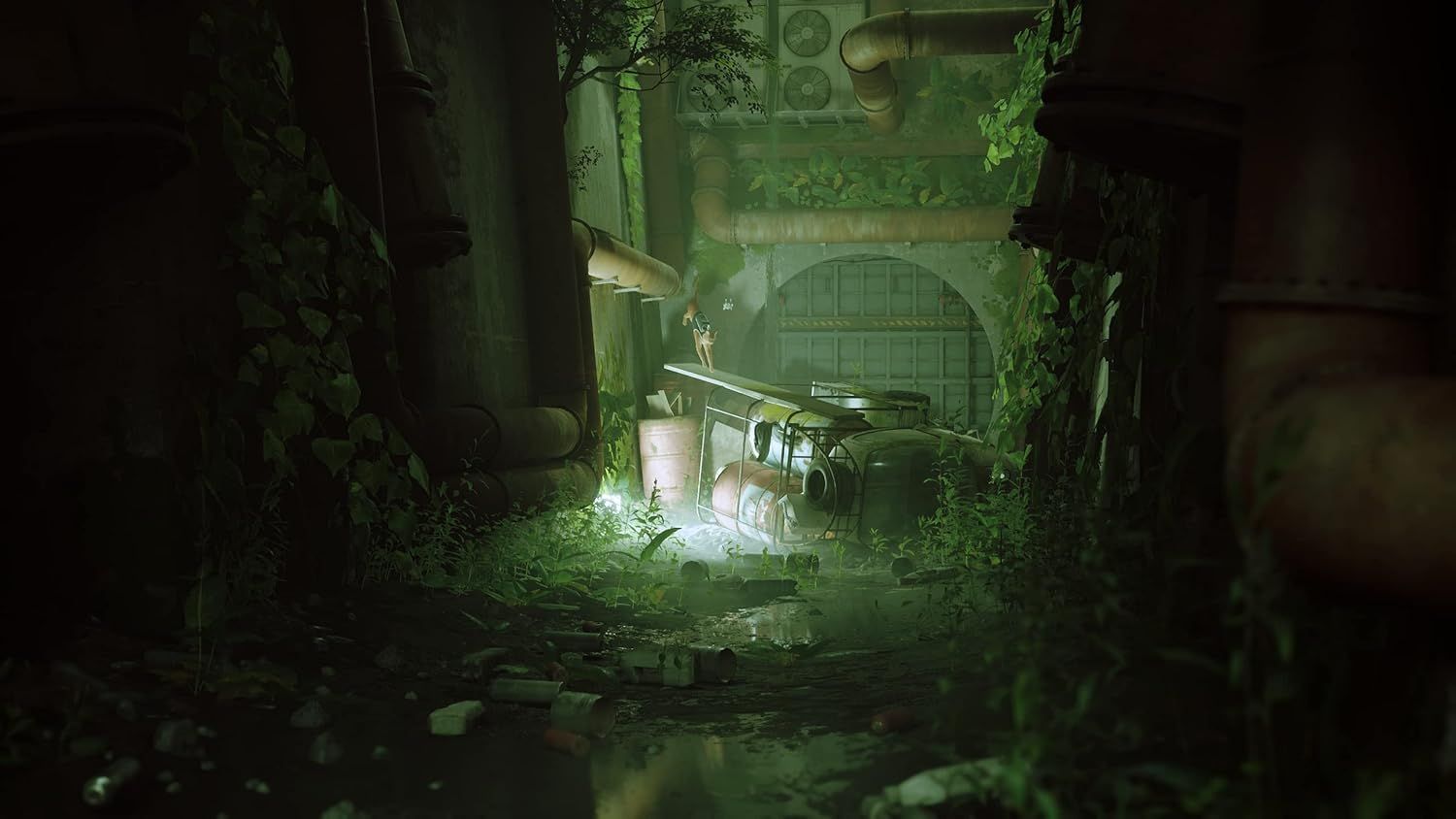 STRAY - Image 2