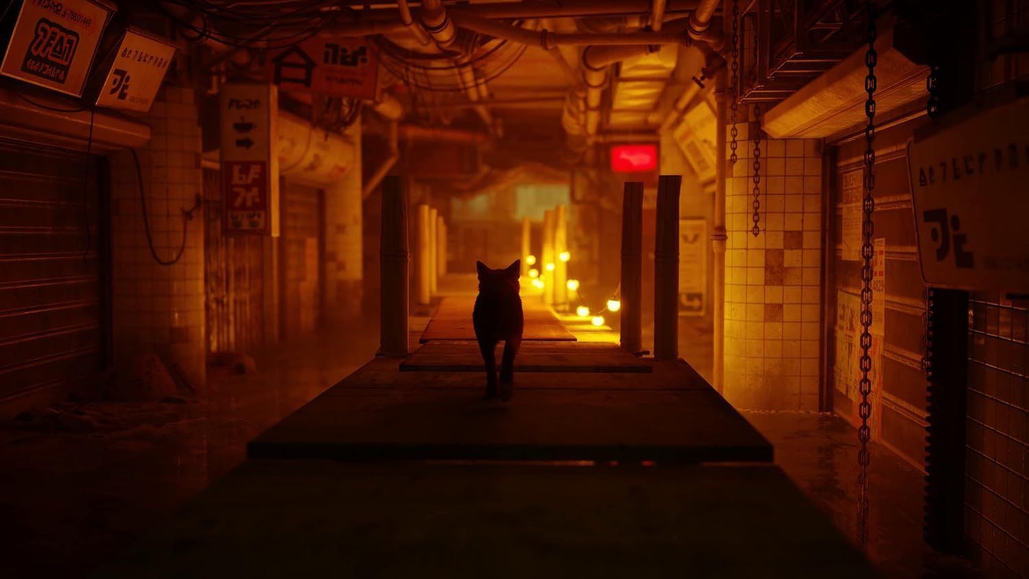 STRAY - Image 3