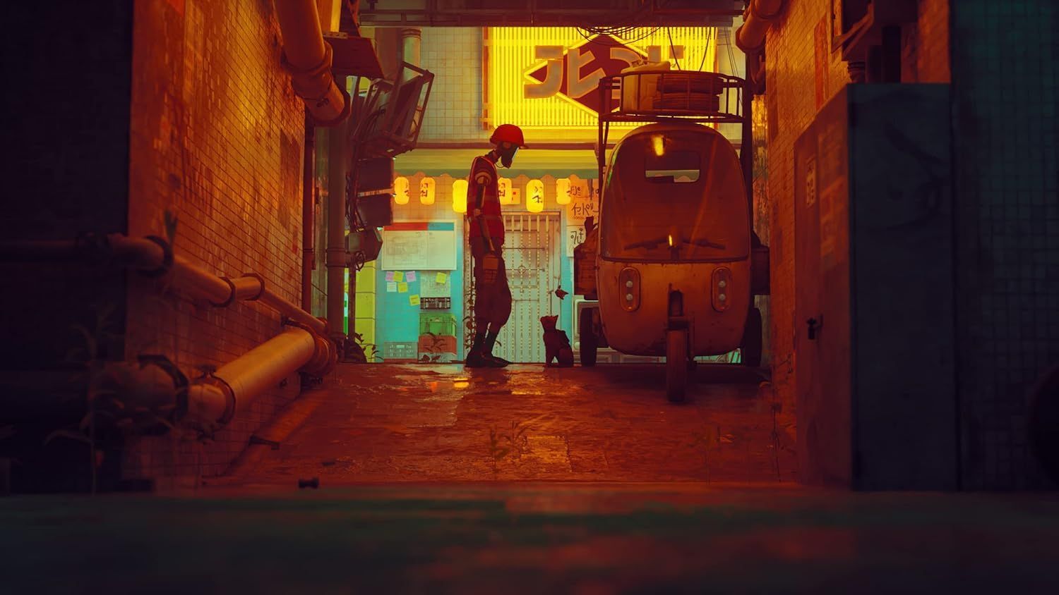 STRAY - Image 4