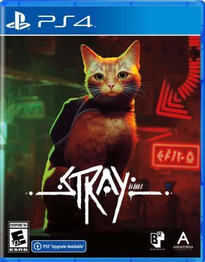 Stray