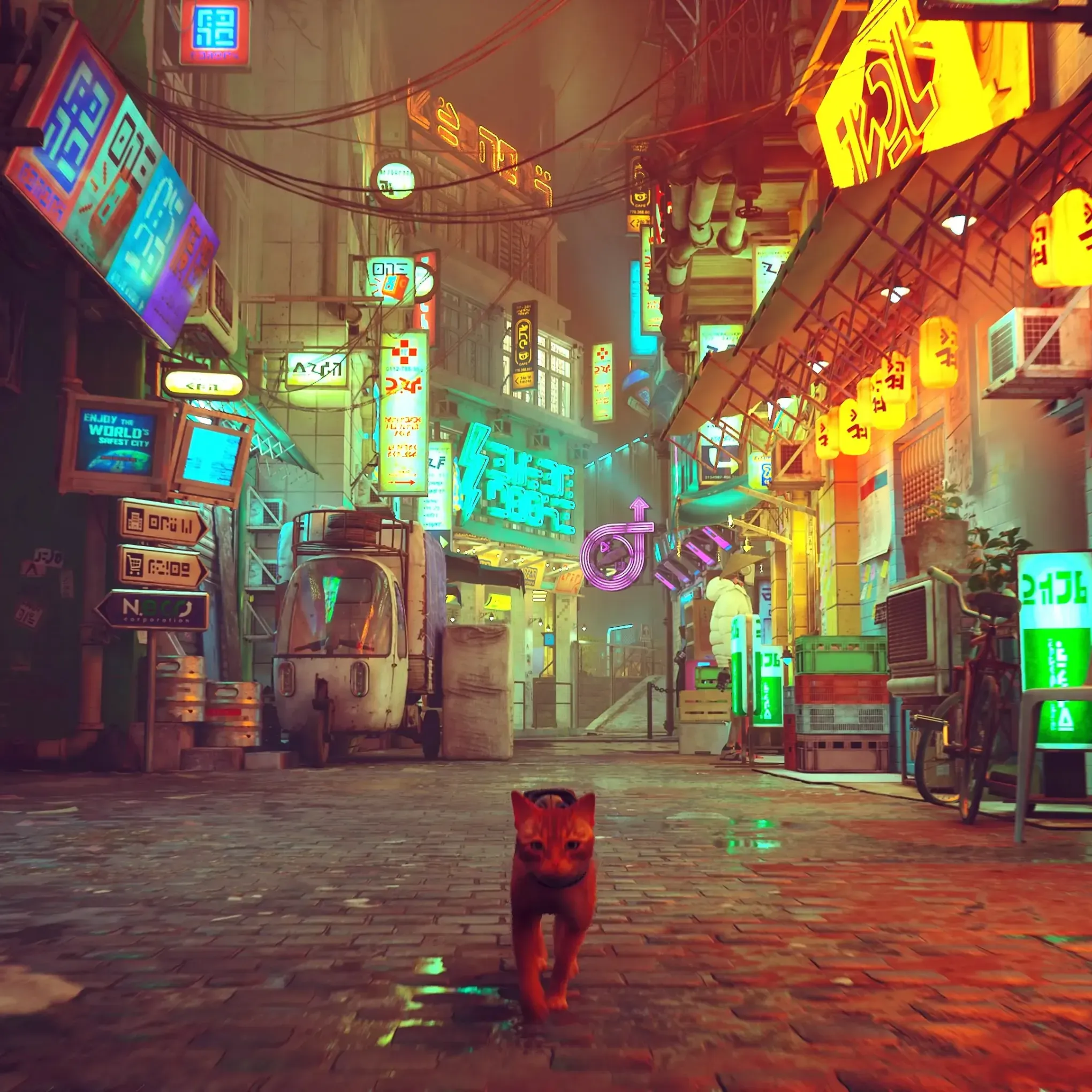 Stray - Image 4