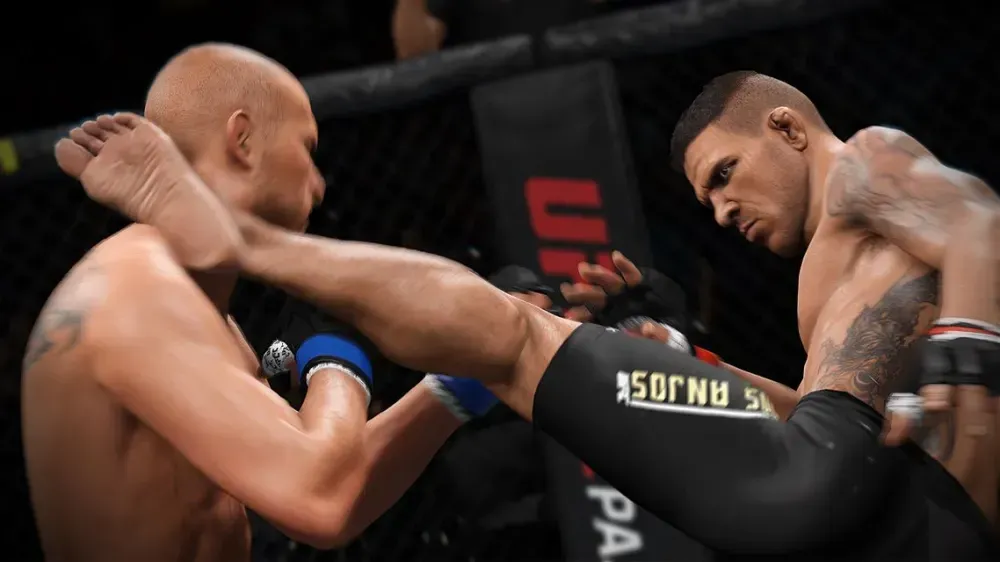 UFC - Image 3