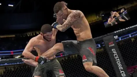 UFC - Image 2