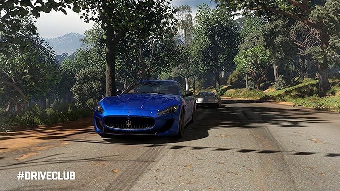 Driveclub - Image 2