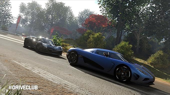 Driveclub - Image 3