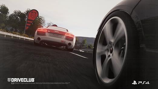 Driveclub - Image 5