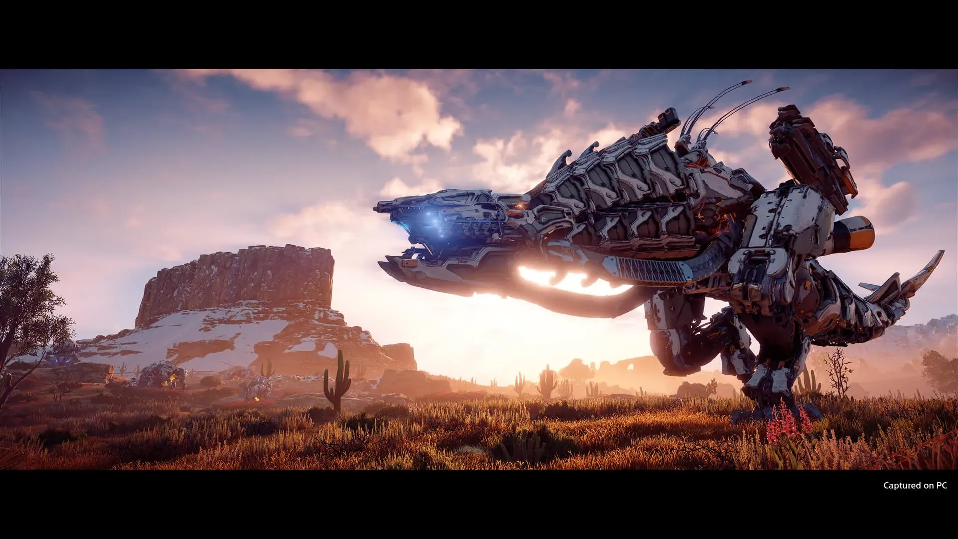 Horizon Zero Dawn - Complete Edition - Image 5